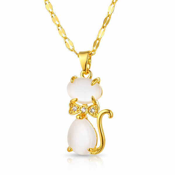 Collar gato