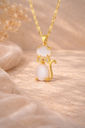 Collar gato